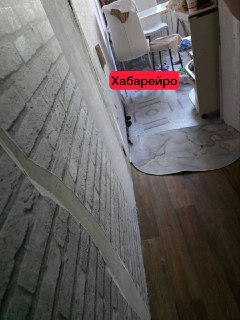 Многоквартирный дом на Пионерской потрясен приездом огромной змеи